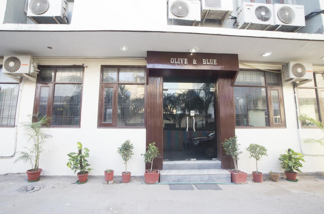 Hotel Olive & Blue - Govt Approved Hotel Near Delhi Airport Νέο Δελχί Εξωτερικό φωτογραφία
